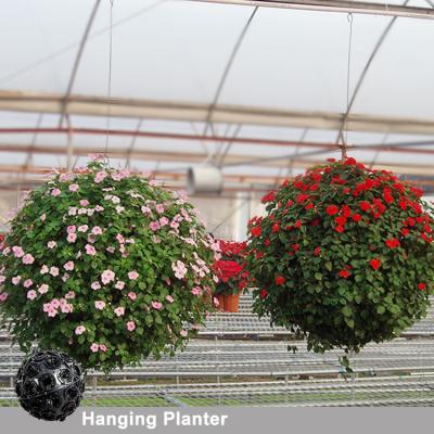 China Modern Hanging Ball Planters, Hanging Basket Planter, Ball Shaped Planters for sale