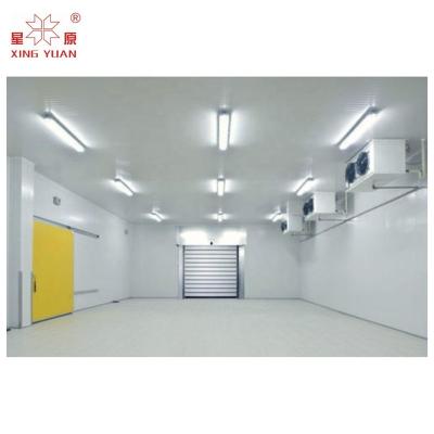 China Cold storage room for frozen meat and fish for sale