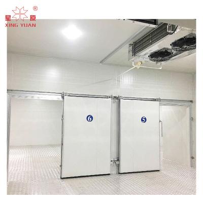 China Low freight spot semi-buried cold room hinged door, sliding door auto cold room for sale