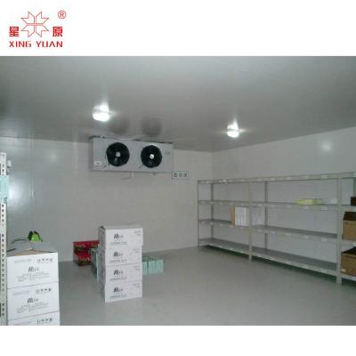 China Cold store cold room for fruit and vegetables with a volume of 800 ton for sale