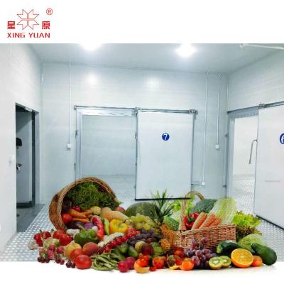 China 200Mt Cold Room Equipment Coldroom Chiller Room Cold Storage for sale