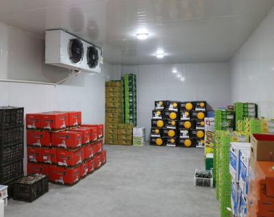 China 200Mt Cold Storage Rooms Walk Cold Room Price Abidjan Fruit Cold Room for sale