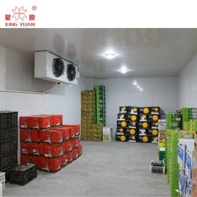 China 500Mt Cold Storage Fish Freezer Room Cold Room For Potato for sale