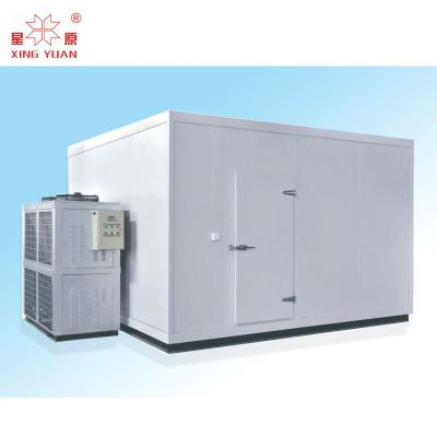 China 200Mt Walkin Freezer And Cooler Cold Storage For Potato Walk In Freezer Cold Room Refrigeration for sale