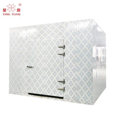 China China Factory Supplied Top Quality Blast freezer cold room refrigerator freezer walk-in freezer room for sale