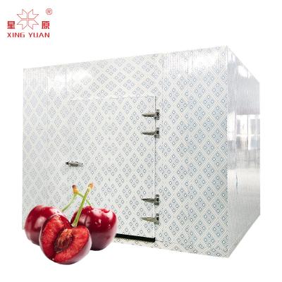 China Factory Price Manufacturer Supplier deep freezer cold room storage freezer/freezer room for meat for sale