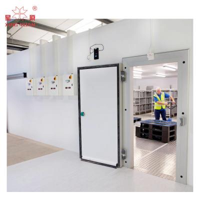 China Customized Professional Good Price Of 75mm pu sandwich freezer room part Swing Door for sale