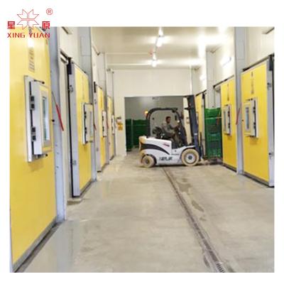 China cold storage room hinged swing door for cold storage room with resistance for sale