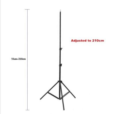 China Shine 8 10 Ring Light Tripod Stand Desktop 12 Inch LED Selfie Camera Phone Tablet Holder for Makeup for sale