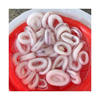 China Nutritious High Quality Fresh Frozen Giant Squid Rings Cooking Delicious Squid Rings for sale