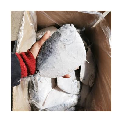 China Whole Big Size Frozen Moonfish China Seafood Supplier FROZEN Frozen Moon Fish Seafood Supplier for sale