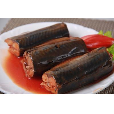 China Best Canned 425g Canned Mackerel Brands In Tomato Sauce for sale