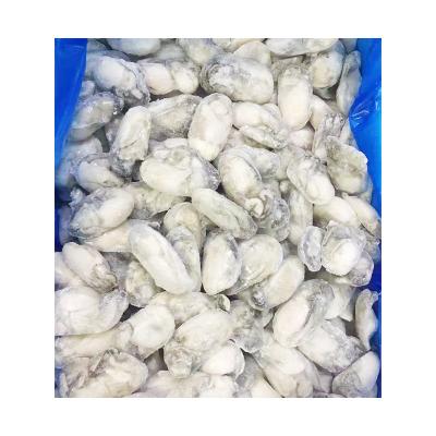 China Ostyer frozen factory direct sales wholesale quality fresh oysters for sale frozen oyster meat for sale