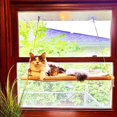 China Hot Selling Travel Cat Window Perch, Window Hammock Seat Oversized Spiral Sucker Indoor Pet Bed, 360 Suns Elevated Bearer Seat for sale