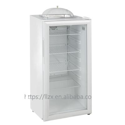 China LG4-120T Single-temperature Freezer Small Freezer Countertop Small Price Customized Vertical Display Cabinet for sale