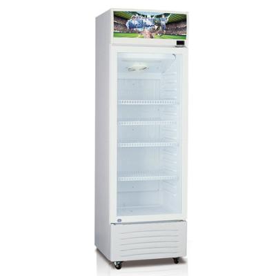 China Eco - Friendly Commercial Refrigerated Showcase Cabinet Single Door Vertical Beer Freezer for sale