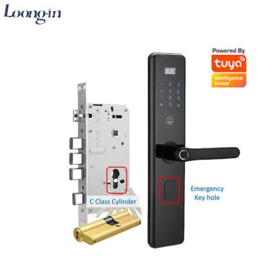 China Zinc Alloy High Security High Security Anti Theft Smart Door Lock Biometric WiFi TTLock Tuya Smart Electronic Door Lock for sale