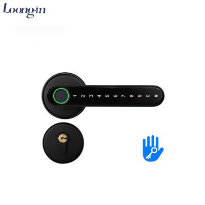 China 2022 Pcs Tuya 192 Home Bedroom Security Electronic Fingerprint Latch Double Door Lock Wooden Smart Key Handle for sale