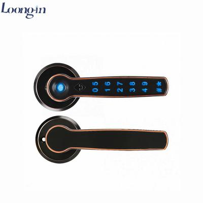 China Ttlock smart life APP wifi smart password fingerprint smart door lock, for hotel, apartment, house, office, building lock 192 pcs for sale