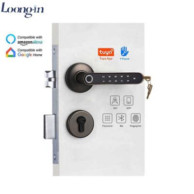 China Zinc Alloy WiFi Tuya APP Smart Electronic Biometric Fingerprint Access Digital Smart Lock Door For Home/Hotel Wooden Doors for sale