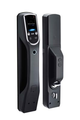 China Face Recognition Door Lock System With Touch Screen for sale