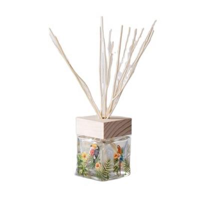 China 2020 New Sustainable Scent Reed Diffuser Diffuser-Sticks Reed Scent Diffuser Glass Bottle for sale