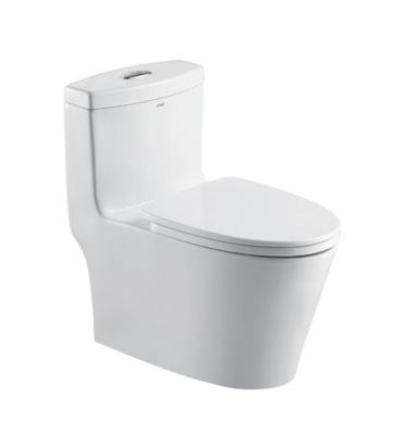 China ANNWA aB13001 Double-flush Chinese Supply Toilet with Toilet Seat for Chinese Girl for sale