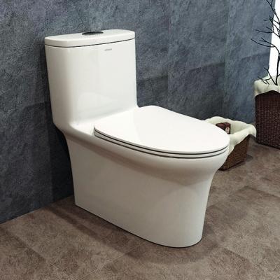 China ANNWA NL103 Double-flush Chinese Supply Toilet With Toilet Seat For Chinese Qirl for sale