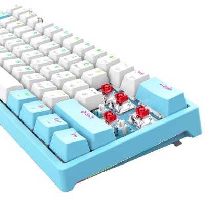 China Multimedia Keys Custom 61 Keys Pudding Keytop Wired Mechanical Keyboard With Transparent Cover RGB Led 60% Hot Swap Mechanic Keyboard for sale