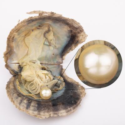 China Gift 7-8mm Freshwater Quality 4a+ Vacuum Packed Party Pearl Wish Love Pearl Seawater Loose Round Cultured Akoya Oyster for sale