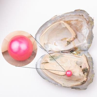 China Gift 7-8mm Vacuum Packed Freshwater Quality 4a+ Party Pearl Wish Love Pearl Loose Freshwater Round Cultured Freshwater Pearl Oyster for sale