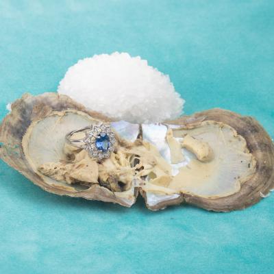 China Fashion Love Wish Pearl Party Gift Akoya Oyster Jewelry Akoya Gem Fortune Oyster Gem Vacuum Packed Ring in Akoya Oyster Shell for sale