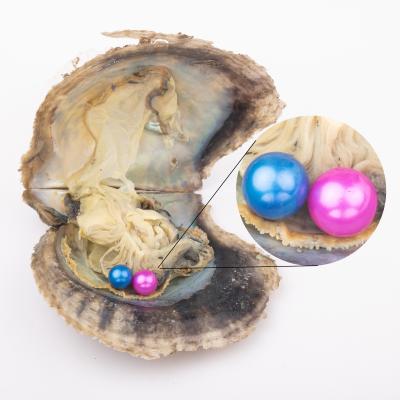 China Part Freshwater Gift 7-8mm Pearl Wish Love Pearl Grade 4a+ 2 Vacuum Packed Pearl In Pearl Oyster Cultured Twin Akoya Oyster for sale