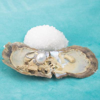 China Vacuum Packed Akoya Oyster Fortune Akoya Oyster Pearl Jewelry Wish Love Pearl Party Freshwater Pearl Ring in Akoya Oyster Shell for sale