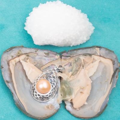 China Freshwater Party Gift Pearl Wish Love Pearl Jewelry Oyster Fortune Oyster Vacuum Packed Pearl Ring in Oyster Shell for sale