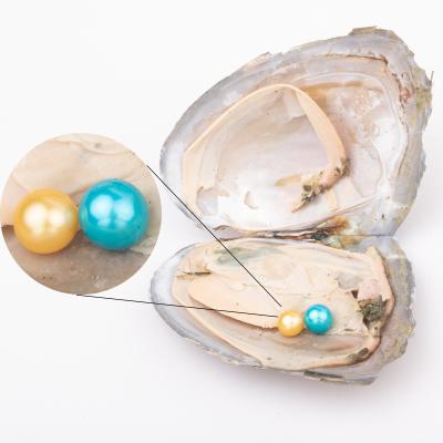 China Part Freshwater Gift 7-8mm Pearl Wish Love Pearl Grade 4a+ 2 Vacuum Packed Pearl In Pearl Oyster Cultured Twin Oyster Freshwater Oyster for sale