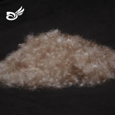 China Eco-Friendly High Quality Machine Washable Goose Down Feather EN12934 Class1 Washed 80/20 Gray Goose Down Feather Washed for sale