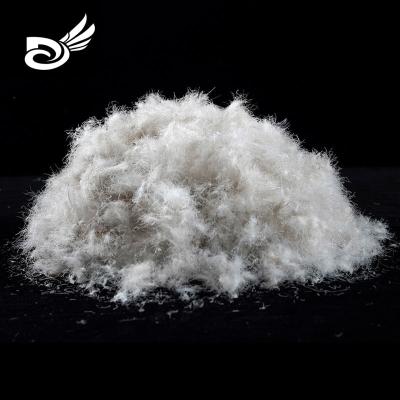 China Eco Friendly 80/20 Washed Gray Goose Feather Down , High Quality Machine Washable Goose Down Feather Down for sale