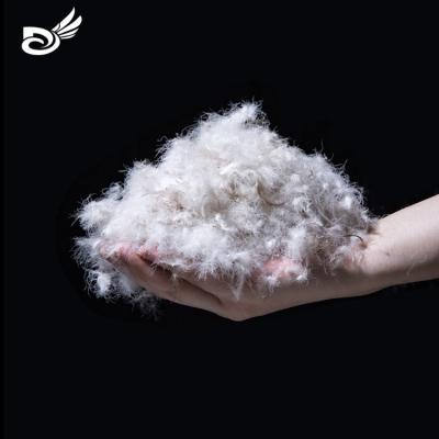 China Eco-friendly newcomer down material high quality 70% washed gray duck down and feathers for sale