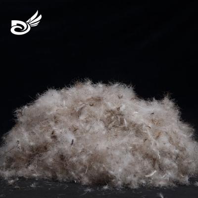 China Eco-friendly Standard 60/40 Duck Down High Quality Feathers Gray And Cheap Duck Down From China for sale