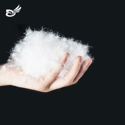 China Wholesale China Standard Eco-friendly New Down Made in China High Quality Natural Raw White 60% Washed Goose Down Feather for sale