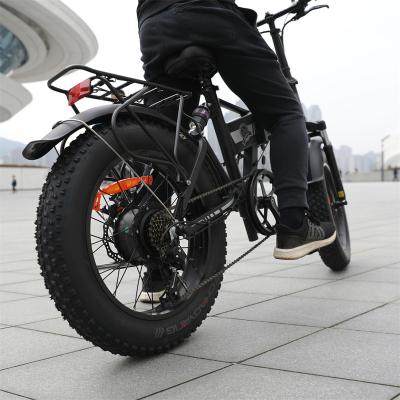 China USA Electric Bicycle For Men 750W 30 Speed ​​Lithium Battery Double Breakable Tire 20