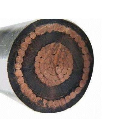 China Best Price China PVC Concentric Cable BS7870 Low Voltage Insulated Type for sale