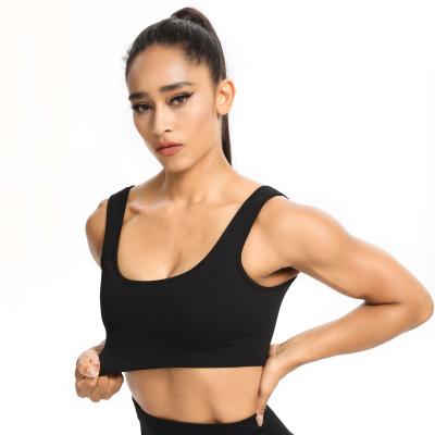 China Breathable Seamless Underwear Wholesale Sports Fitness Tops Workout Gym Wear Flat Collar Padded Yoga Bra for sale