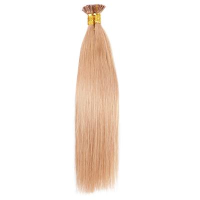 China Silky Straight Wave Aisi Hair 10A Color 12# Unprocessed Hair Pre Bonded Double I Drawn Keratin Tip Hair Extension For Women for sale