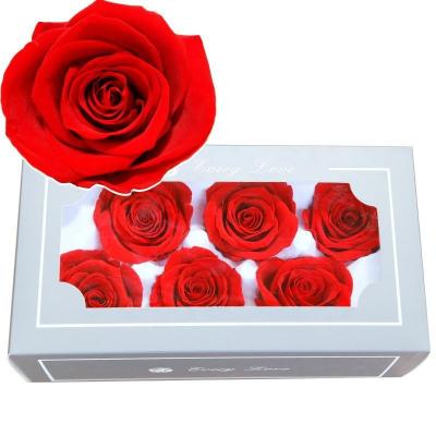 China Fashional Gift High Quality Natural Durable 5-6cm Everlasting Flower Heads Real DIY Flora Buds Preserved Roses for sale