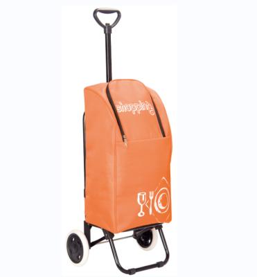 China Convenience Manufacturer Portable Shopping Trolley Bags Supermarket 6 Customized Wheels Riding Shopping Cart for sale