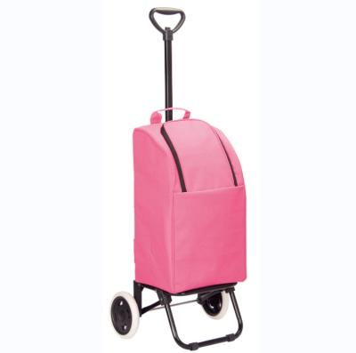 China Convenience Manufacturer Portable Shopping Trolley Bags Supermarket 6 Customized Wheels Riding Shopping Cart for sale