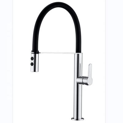 China Pull Out DLSEN Brand Kitchen Spray Faucet Kitchen Pull Out Faucet Mixer Taps For North American Farm House for sale