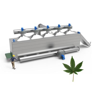 China Medicine Curing Automatic Gas Heated Hemp Drying Machine for sale